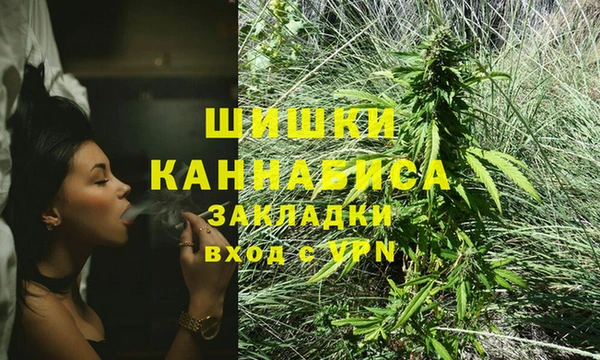 ешки Арсеньев