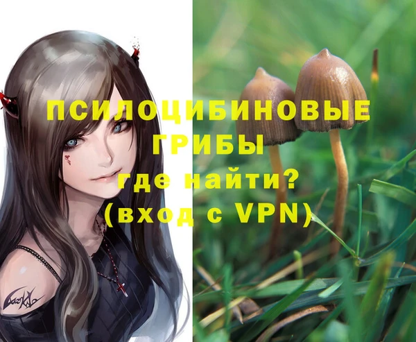 ГАЛЛЮЦИНОГЕННЫЕ ГРИБЫ Армянск