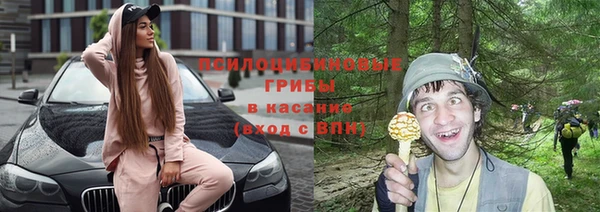 ГАЛЛЮЦИНОГЕННЫЕ ГРИБЫ Армянск
